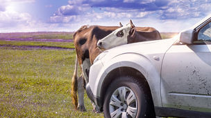 Japanese alt text: インドのモビリティCNの現実解