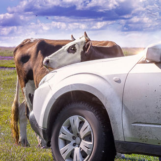 Japanese alt text: インドのモビリティCNの現実解