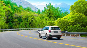 Japanese alt text: マルチパスウェイが最適解に