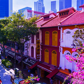 Japanese alt text: How can Singaporeans be away from owning a car?