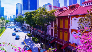 Japanese alt text: How can Singaporeans be away from owning a car?