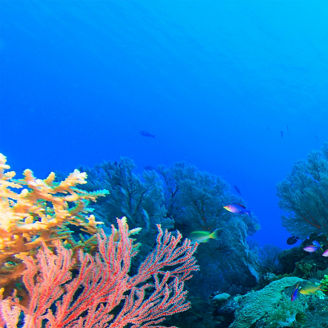 生物多様性に関する課題対応支援