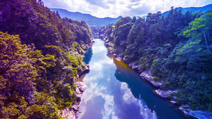 SBTs for Nature（自然に関する科学に基づく目標設定）