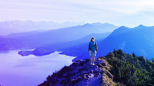 TNFD（自然関連財務情報開示タスクフォース）