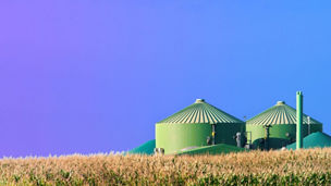 エネルギートランジションにおけるバイオ燃料の事業機会