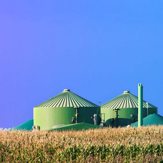 エネルギートランジションにおけるバイオ燃料の事業機会