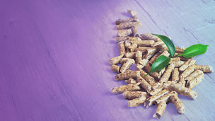 バイオ燃料の元のイメージ