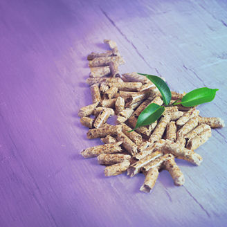 バイオ燃料の元のイメージ