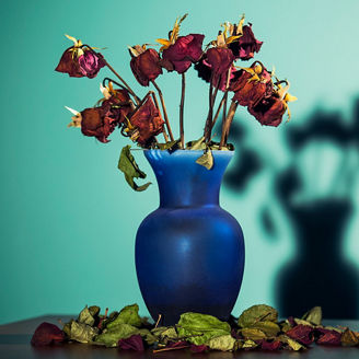 腐敗・贈収賄防止体制の高度化支援