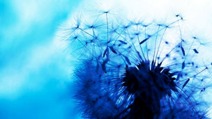 Japanese alt text: KPMGコンサルティングの目指す世界観