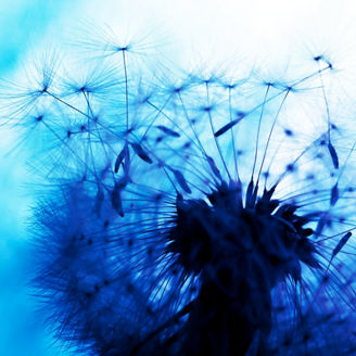 Japanese alt text: KPMGコンサルティングの目指す世界観