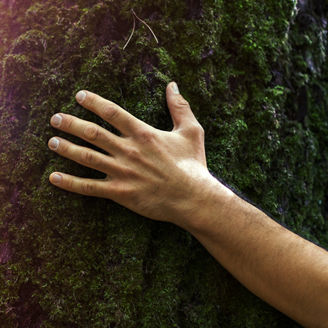 Japanese alt text: カーボンクレジットの潮流と国際炭素市場の現状および展望