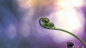 Japanese alt text: GX-ETSにおけるカーボンクレジット調達の計画・戦略