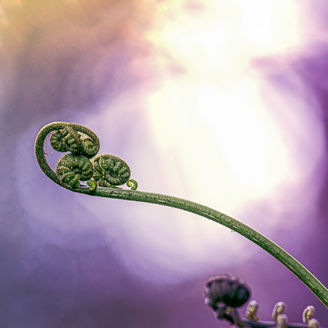 Japanese alt text: GX-ETSにおけるカーボンクレジット調達の計画・戦略