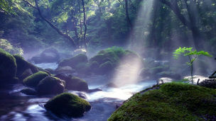 陽の光が差す川 