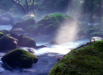 カーボンフットプリント（CFP）の算出プロセス構築支援