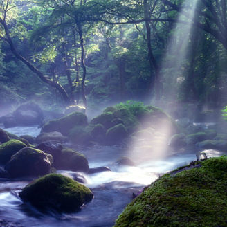 陽の光が差す川 