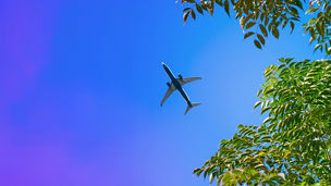 Japanese alt text: Case Study：郵船ロジスティクス株式会社