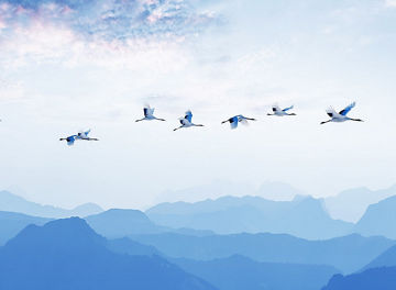 KPMGジャパン CFOサーベイ2023