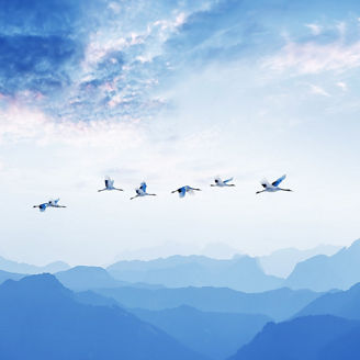 KPMGジャパン CFOサーベイ2023