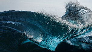 KPMGジャパン CFOサーベイ 2025/2026