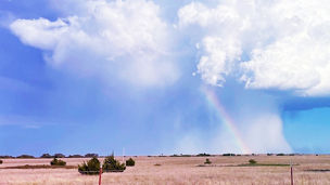 気候変動適応事業の成功に向けた先進技術と実践アプローチ