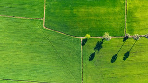 Japanese alt text: 「COP29」の成果とポイント