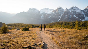 Survey of Sustainability Reporting 2024