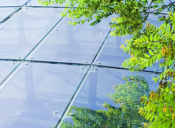 ビルとグリーン