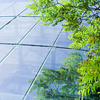 ビルとグリーン