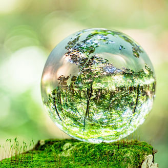 Glass globe photographed in a moth forest