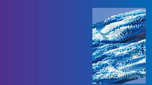 Japanese alt text: サイバーセキュリティサーベイ2025