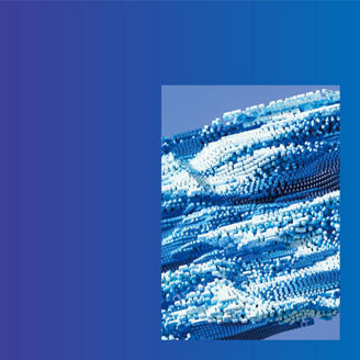 Japanese alt text: サイバーセキュリティサーベイ2025