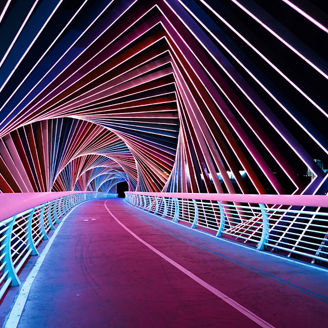 デザインされた橋