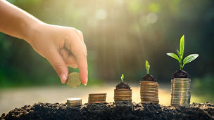 Japanese alt text: カーボンニュートラル実現に向けた資金調達