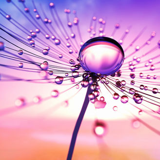 Japanese alt text: デジタル成熟度診断