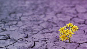 Japanese alt text: ESG関連クライシス対応・再発防止支援