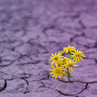 Japanese alt text: ESG関連クライシス対応・再発防止支援