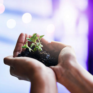 Japanese alt text:小売業・消費財メーカーにおけるESG課題の考察（1）- サプライチェーン・マネジメント