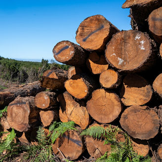 Japanese alt text: EUDR改正案のポイントと企業が直ちに着手すべき対応