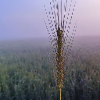 Japanese alt text: 地域中核企業へのスタートアップとの協業による成長支援の実例