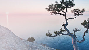 ブランド価値評価サービス