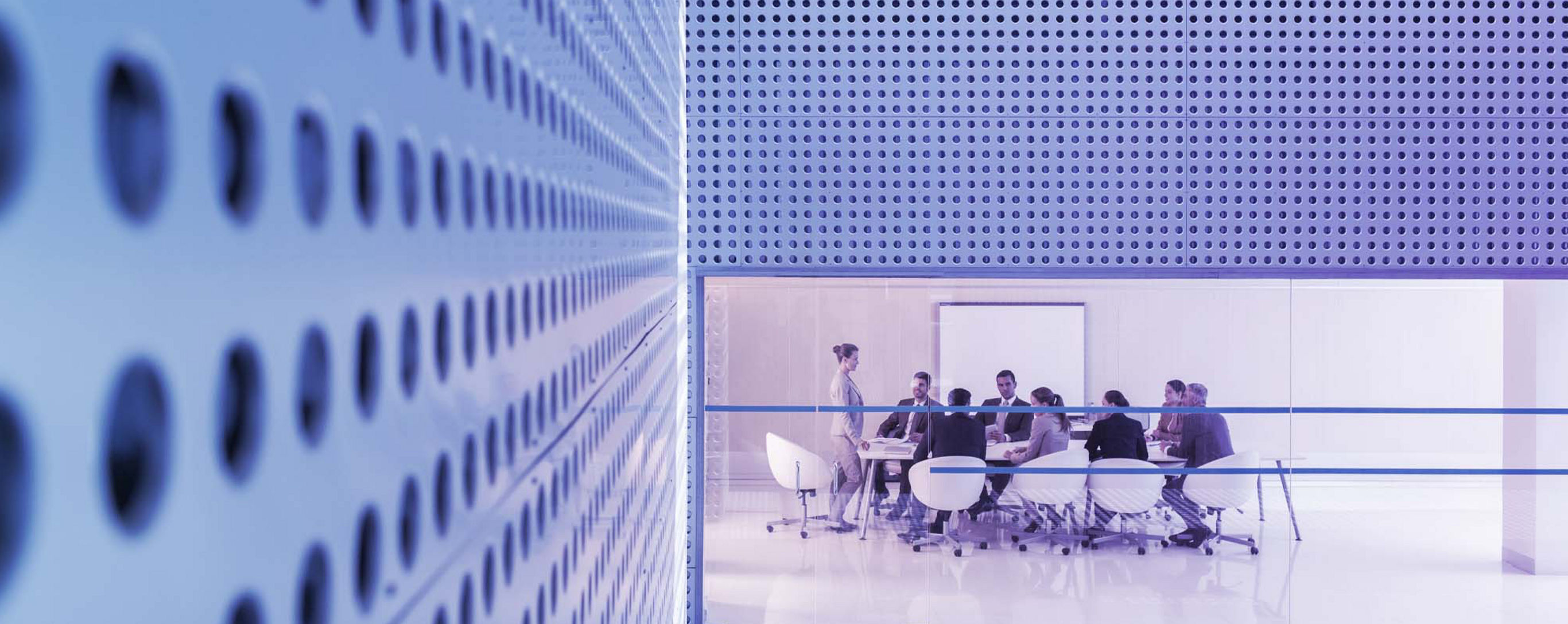 KPMG FAS 採用情報