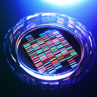 Japanese alt text: ゲノムデータ等の利活用支援