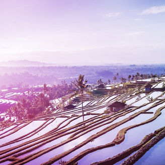 Japanese alt text: インドネシア大統領選の概況　インフラ・脱炭素で商機広がるか