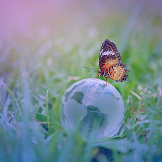 ASEAN地域におけるサステナブル・サプライチェーンの構築