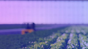 Japanese alt text: 世界の製造業の見通し 2023　CEOの見解：混乱の最中の持続的成長