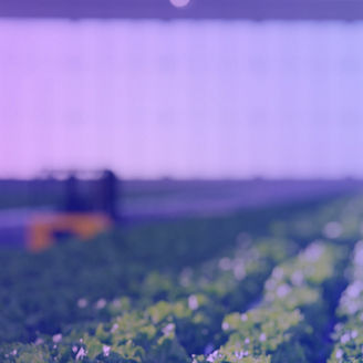 Japanese alt text:世界の製造業の見通し 2023　CEOの見解：混乱の最中の持続的成長