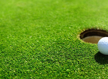 プロゴルフ競技への支援