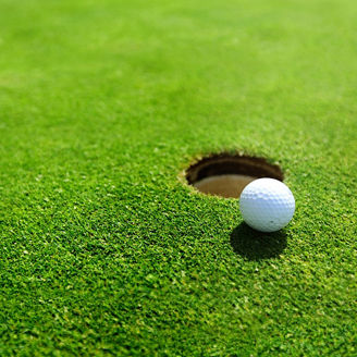 プロゴルフ競技への支援